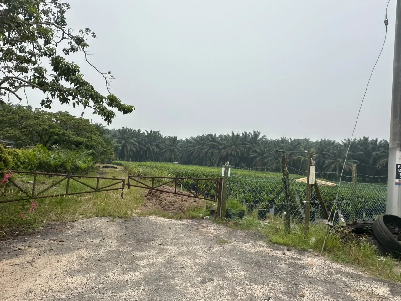 Entrance to the Mawai industrial land in Kota Tinggi