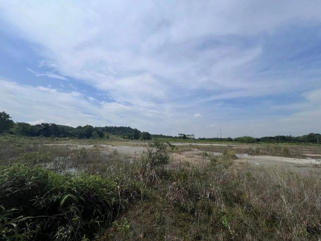 Open land at the PTP Gelang Patah industrial site